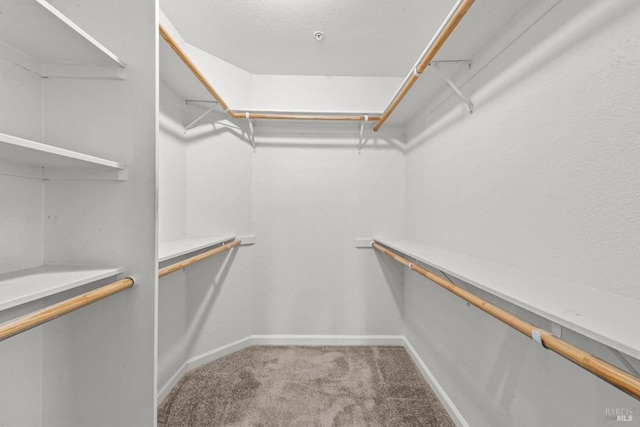 21 Autumn Creek Ct, Napa, CA 94559 - spacious closet featuring carpet flooring