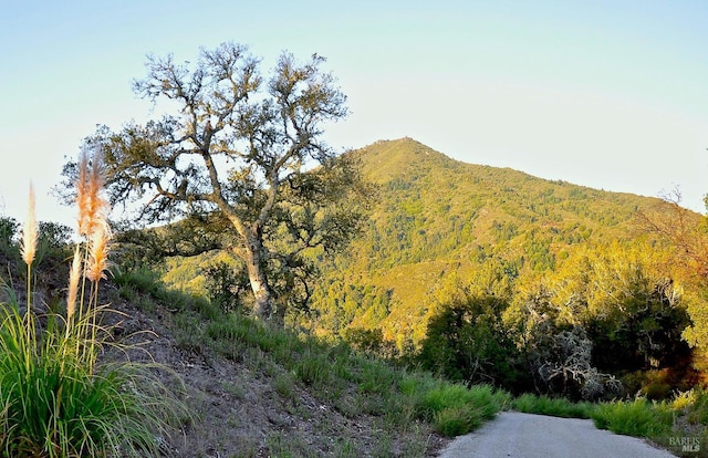 128 Ridgecrest Rd, Kentfield, CA 94904