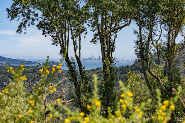 128 Ridgecrest Rd, Kentfield, CA 94904