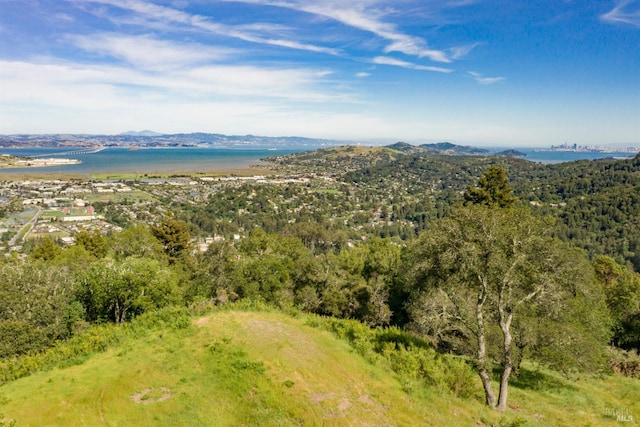 128 Ridgecrest Rd, Kentfield, CA 94904
