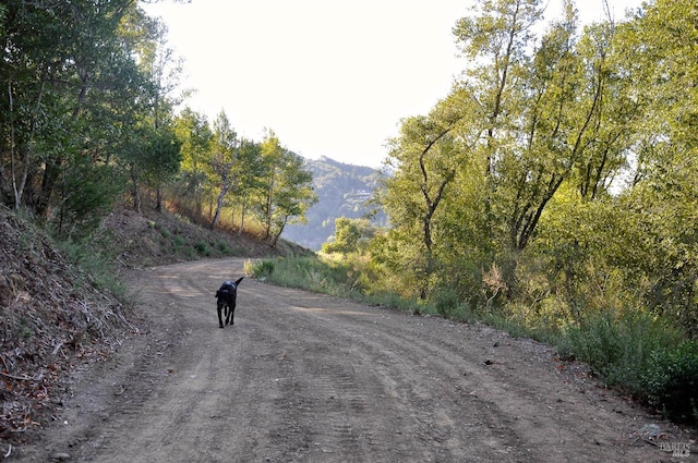 128 Ridgecrest Rd, Kentfield, CA 94904