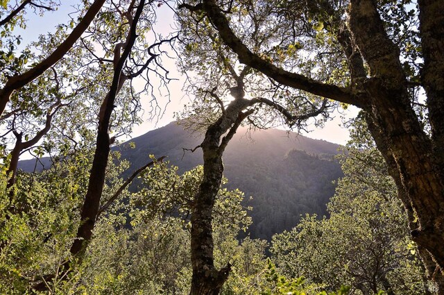 128 Ridgecrest Rd, Kentfield, CA 94904