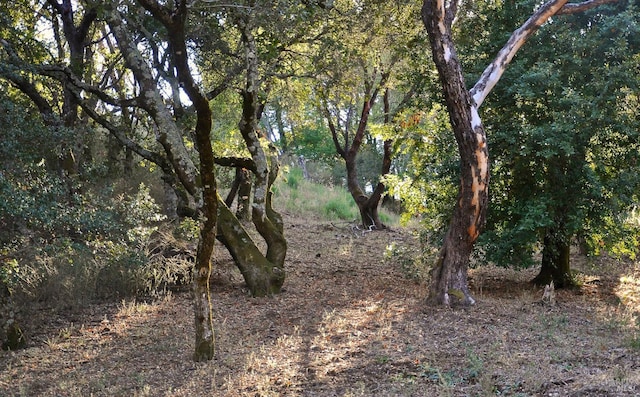 128 Ridgecrest Rd, Kentfield, CA 94904