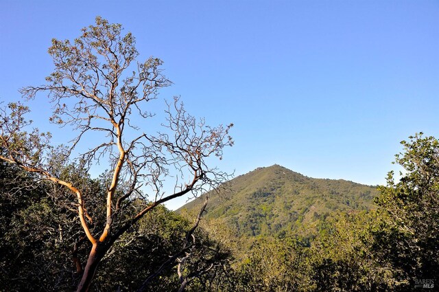 128 Ridgecrest Rd, Kentfield, CA 94904