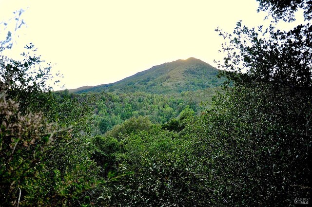 128 Ridgecrest Rd, Kentfield, CA 94904