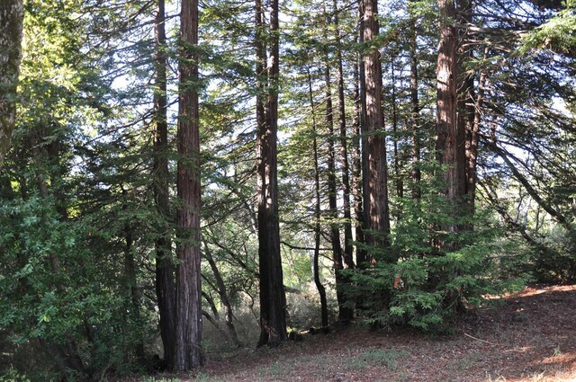 128 Ridgecrest Rd, Kentfield, CA 94904