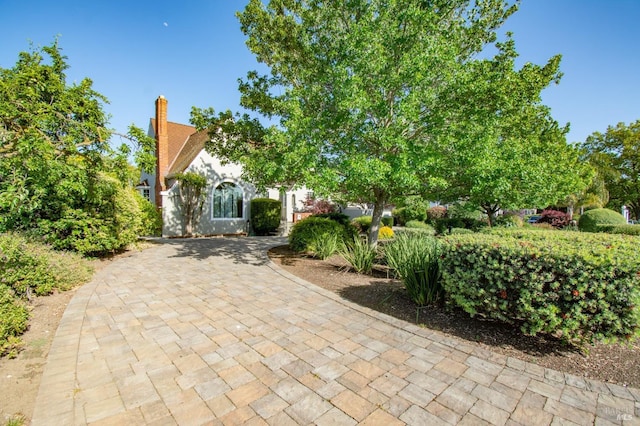 1124 Tuolumne St, Vallejo, CA 94590 - view of patio