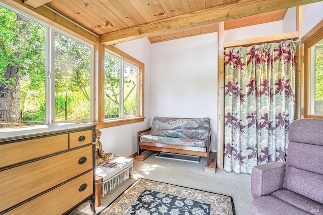 1561 S Fitch Mountain Rd, Healdsburg, CA 95448 - living area with healthy amount of natural light, carpet, and wood ceiling