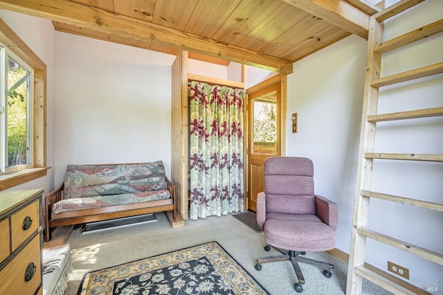 1561 S Fitch Mountain Rd, Healdsburg, CA 95448 - sitting room featuring plenty of natural light, carpet, and wood ceiling