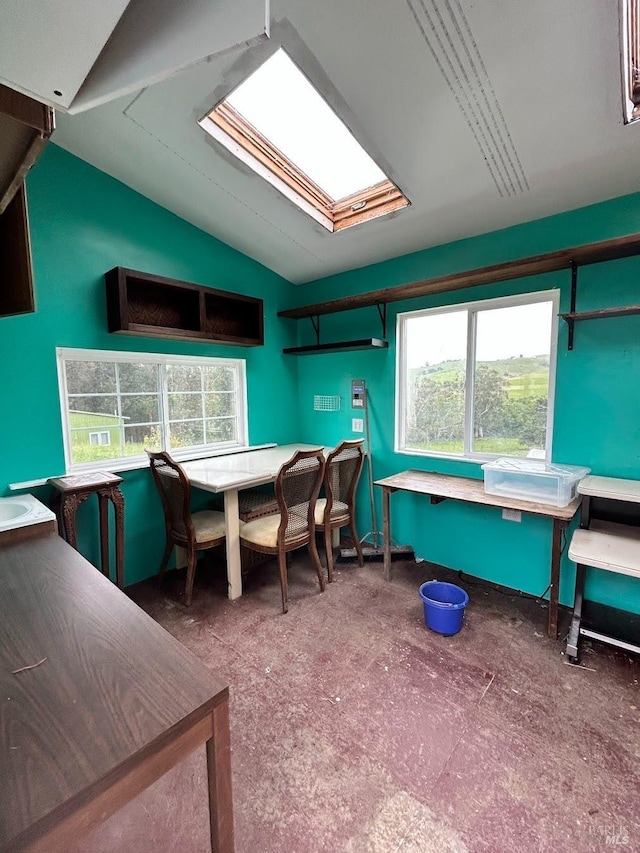 2499 Eastman Ln, Petaluma, CA 94952 - office space featuring a skylight, lofted ceiling, and plenty of natural light