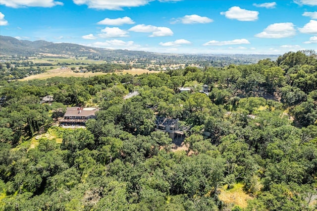 286 Monte Vista Dr, Napa, CA 94559 - aerial view of a forest