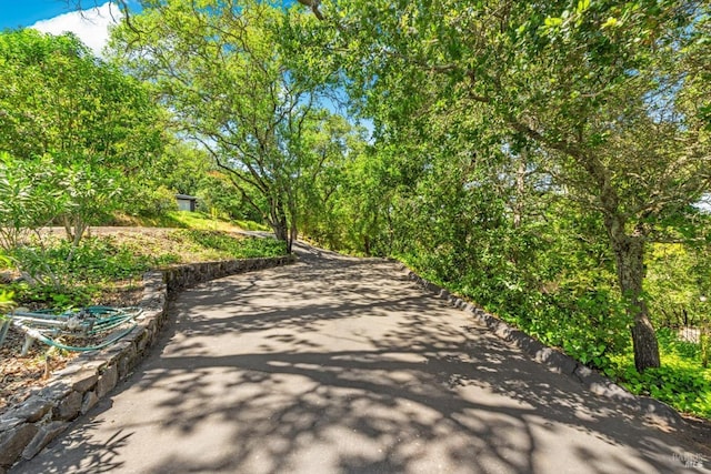 286 Monte Vista Dr, Napa, CA 94559 - view of community
