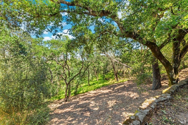 286 Monte Vista Dr, Napa, CA 94559 - view of wooded area