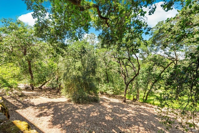 286 Monte Vista Dr, Napa, CA 94559 - view of nature