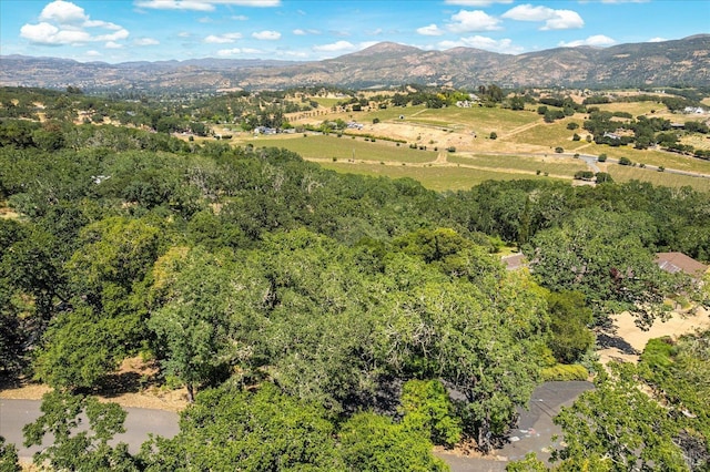 286 Monte Vista Dr, Napa, CA 94559 - bird's eye view of a mountainous background