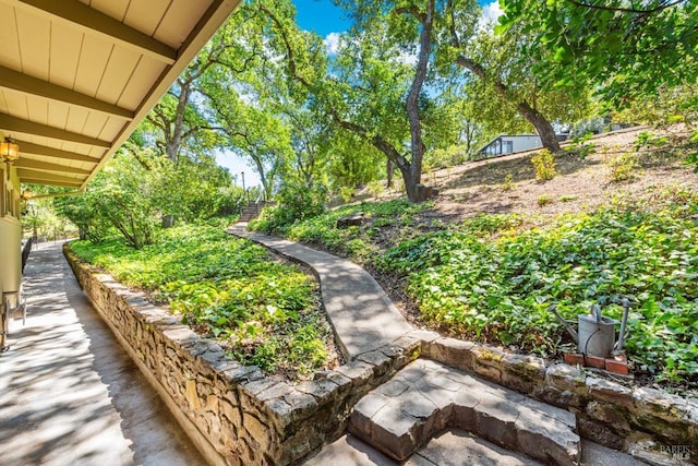 286 Monte Vista Dr, Napa, CA 94559 - view of yard