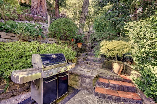 17 Oak Rd, Larkspur, CA 94939 - view of patio / terrace with area for grilling