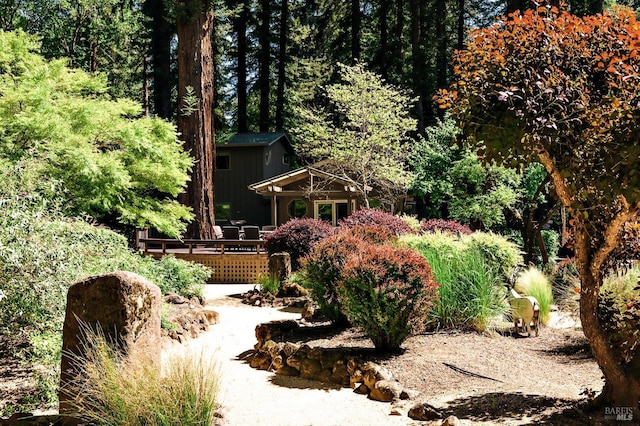 2859 Wallace Creek Rd, Healdsburg, CA 95448 - view of yard with a wooden deck and an outdoor structure