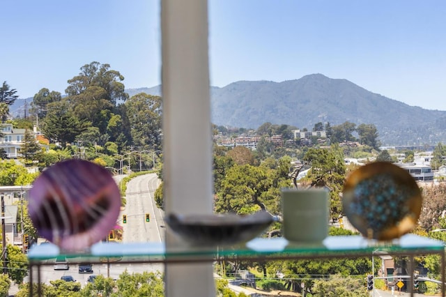 503 Easterby St, Sausalito, CA 94965 - detailed view of a mountain backdrop