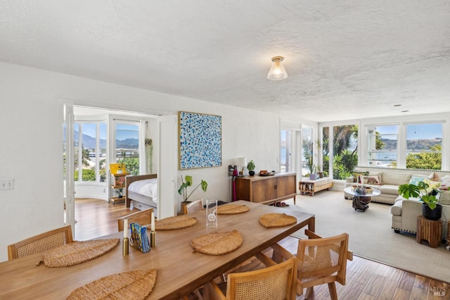 503 Easterby St, Sausalito, CA 94965 - dining room featuring wood finished floors, a textured ceiling, and a mountain view