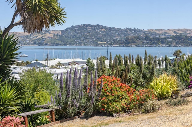 503 Easterby St, Sausalito, CA 94965 - water view featuring a mountain backdrop