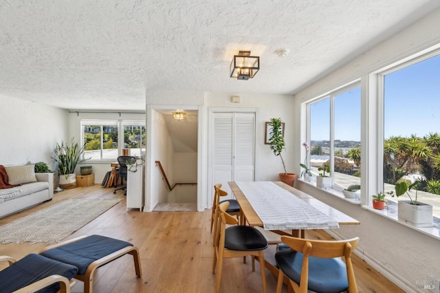 503 Easterby St, Sausalito, CA 94965 - dining space featuring healthy amount of natural light, light wood-type flooring, and a textured ceiling