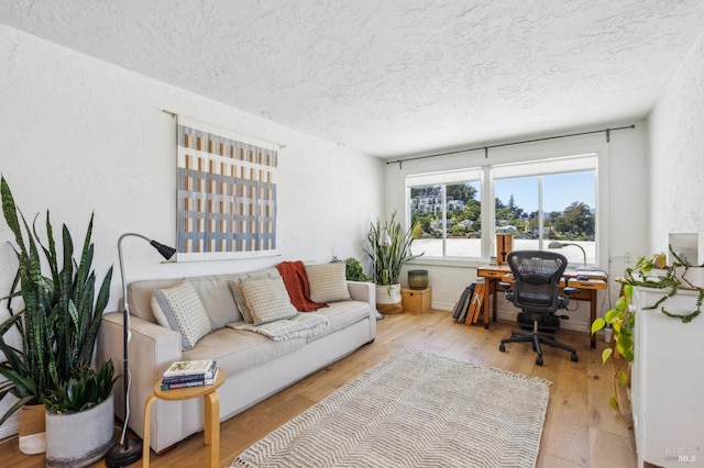 503 Easterby St, Sausalito, CA 94965 - office area featuring a textured ceiling, wood finished floors, and a textured wall