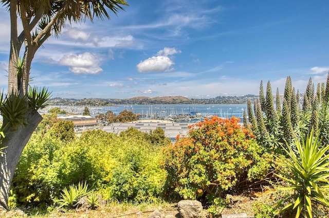 503 Easterby St, Sausalito, CA 94965 - water view