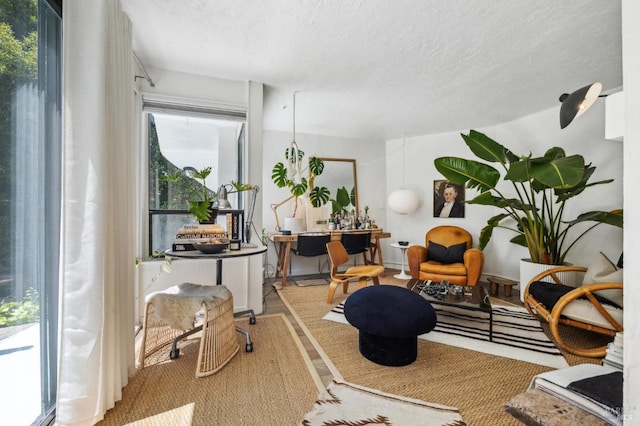 503 Easterby St, Sausalito, CA 94965 - living area featuring a textured ceiling