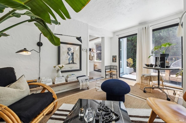 503 Easterby St, Sausalito, CA 94965 - living room featuring a textured ceiling
