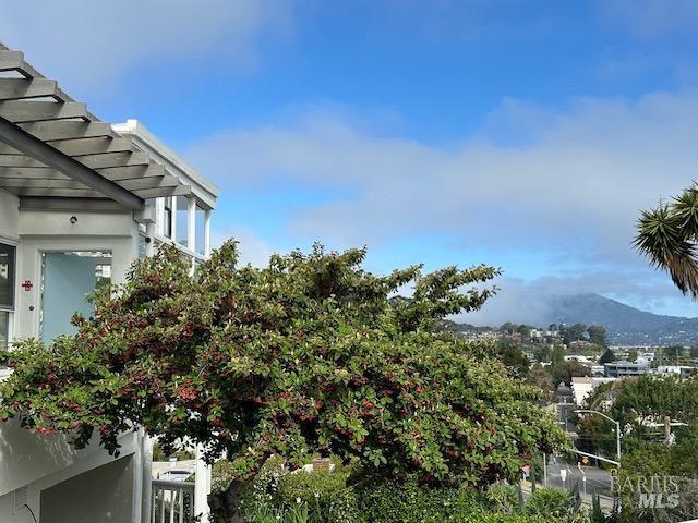 503 Easterby St, Sausalito, CA 94965 - view of mountain backdrop