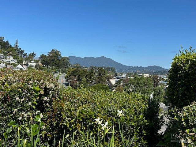503 Easterby St, Sausalito, CA 94965 - view of mountain backdrop