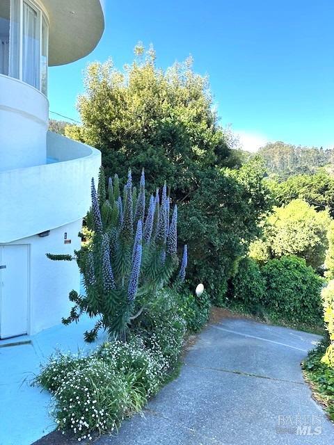 503 Easterby St, Sausalito, CA 94965 - view of patio