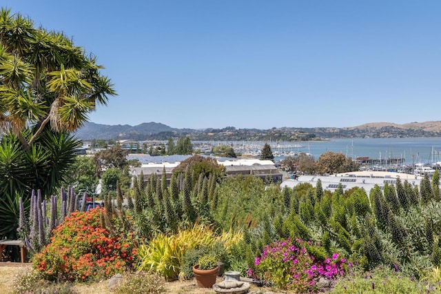503 Easterby St, Sausalito, CA 94965 - mountain view featuring a nearby body of water