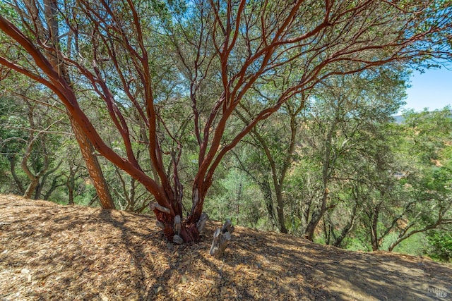 817 Bahia Vista Ct, Napa, CA 94558