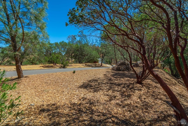 817 Bahia Vista Ct, Napa, CA 94558