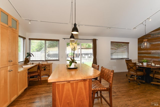 1006 Birkdale Dr, Napa, CA 94559 - kitchen with rail lighting, wood counters, dark wood-type flooring, lofted ceiling, and glass insert cabinets