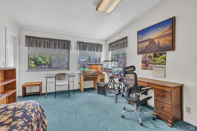 1324 Delwood St, Vallejo, CA 94591 - carpeted home office featuring baseboards
