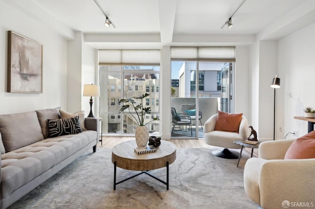 living area featuring rail lighting, plenty of natural light, and wood finished floors