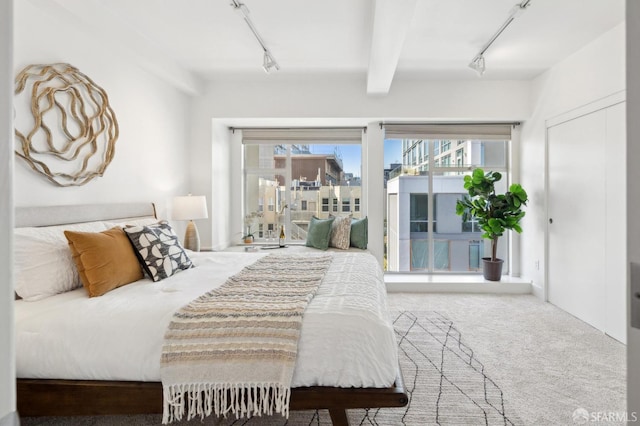1452 Bush St Unit 9, San Francisco, CA 94109 - bedroom with rail lighting and carpet flooring