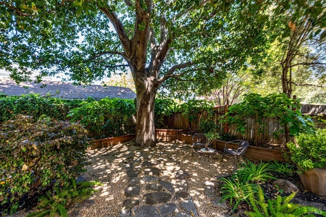 2110 3rd St, Napa, CA 94559 - view of patio / terrace