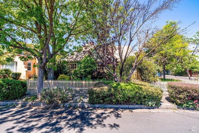 2110 3rd St, Napa, CA 94559 - view of property hidden behind natural elements with a fenced front yard