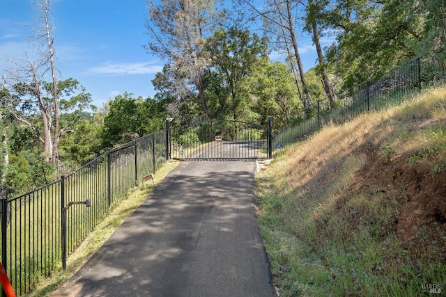 9260 Leila Dr, Glenhaven, CA 95443 - view of street featuring a gate and a gated entry