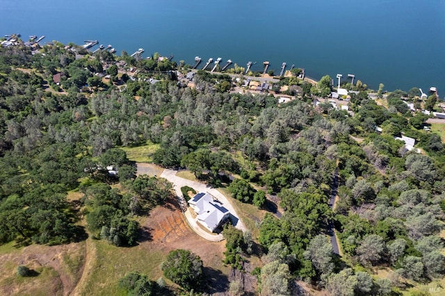 9260 Leila Dr, Glenhaven, CA 95443 - aerial overview of property's location featuring a large body of water and a forest