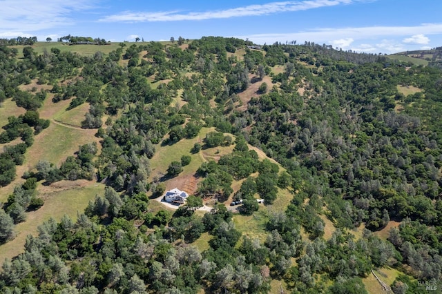 9260 Leila Dr, Glenhaven, CA 95443 - aerial view of property's location with a forest