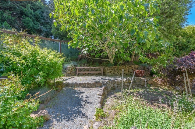 2 Spring Hill Cir, Sausalito, CA 94965 - view of yard featuring fence