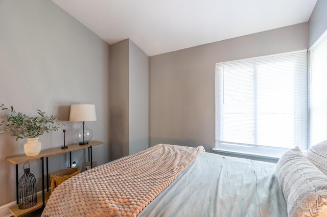 829 Winton Dr, Petaluma, CA 94954 - bedroom featuring multiple windows