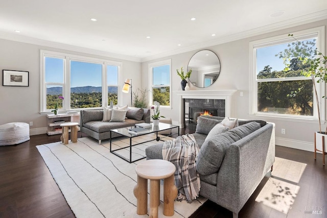 12 Nunes Dr, Novato, CA 94945 - living area featuring dark wood-type flooring, a fireplace, baseboards, recessed lighting, and crown molding