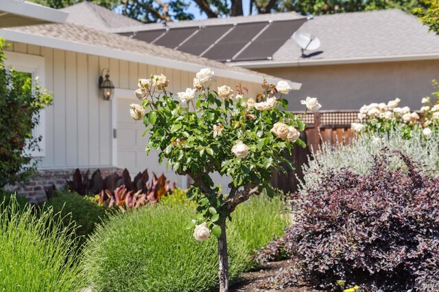 249 Los Palos St, Sonoma, CA 95476 - view of property exterior featuring a shingled roof