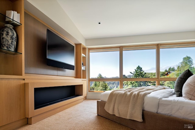 2 Upper Alcatraz Pl, Mill Valley, CA 94941 - view of carpeted bedroom